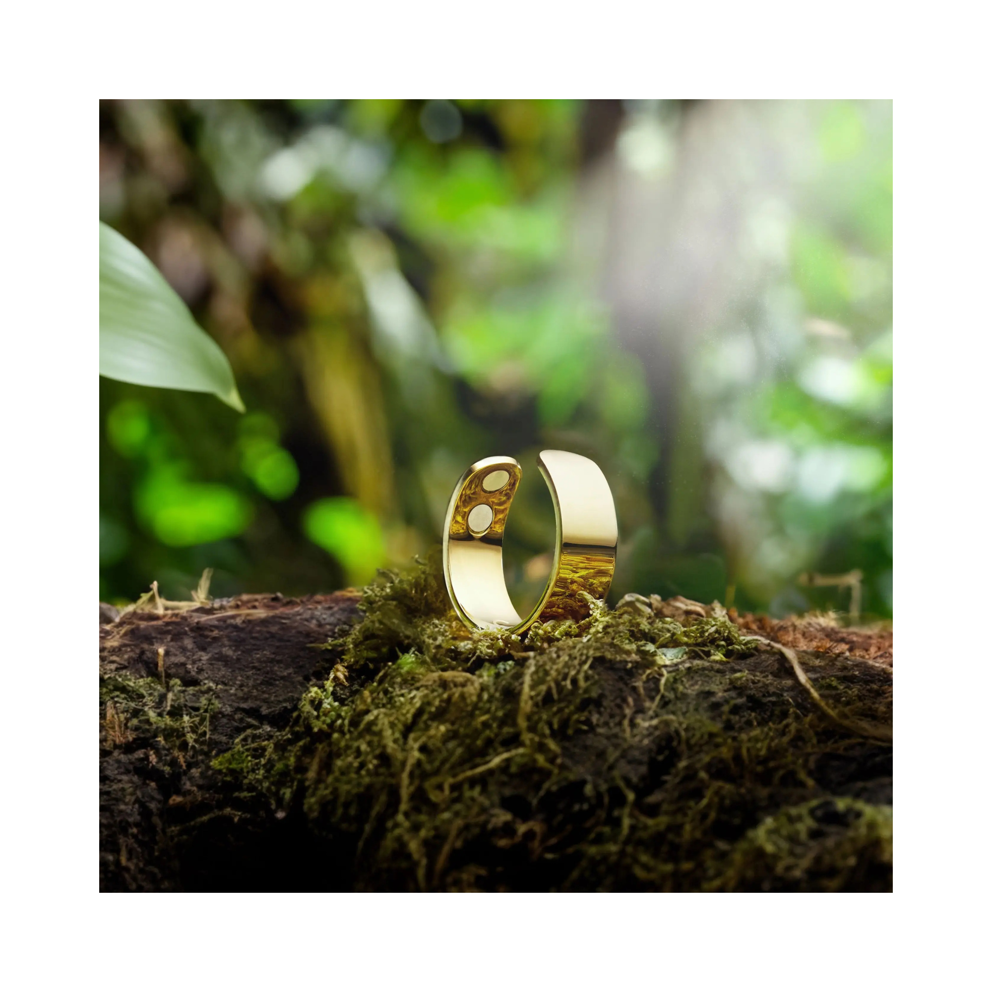 The Life Ring™